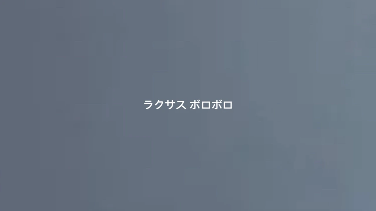 ラクサス-ボロボロ.webp