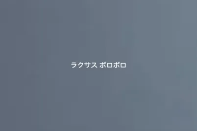 ラクサス-ボロボロ.webp
